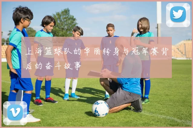上海篮球队的华丽转身与冠军赛背后的奋斗故事