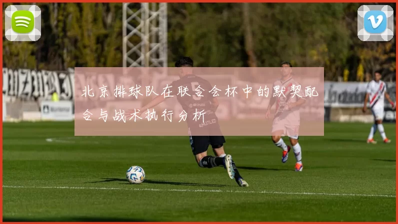 北京排球队在联合会杯中的默契配合与战术执行分析