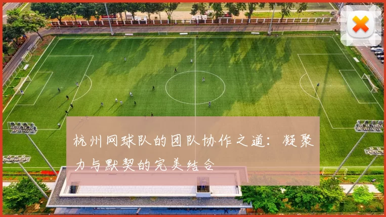 杭州网球队的团队协作之道：凝聚力与默契的完美结合