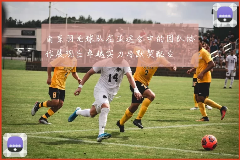 南京羽毛球队在亚运会中的团队协作展现出卓越实力与默契配合
