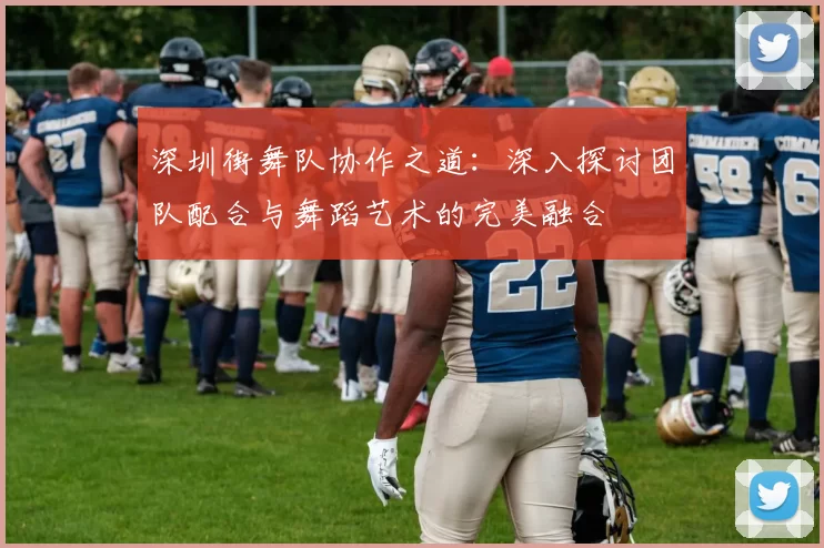 深圳街舞队协作之道：深入探讨团队配合与舞蹈艺术的完美融合