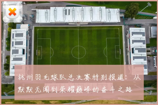 杭州羽毛球队总决赛特别报道：从默默无闻到荣耀巅峰的奋斗之路