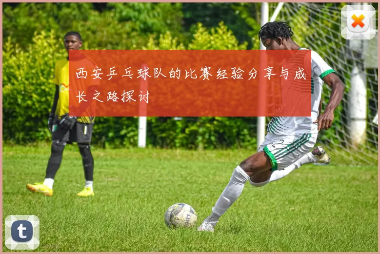 西安乒乓球队的比赛经验分享与成长之路探讨