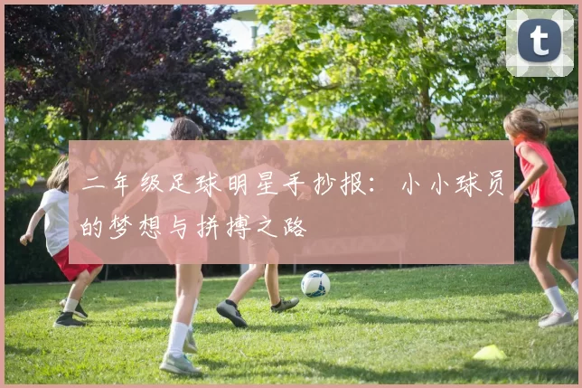 二年级足球明星手抄报：小小球员的梦想与拼搏之路