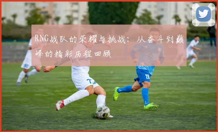 RNG战队的荣耀与挑战：从奋斗到巅峰的精彩历程回顾