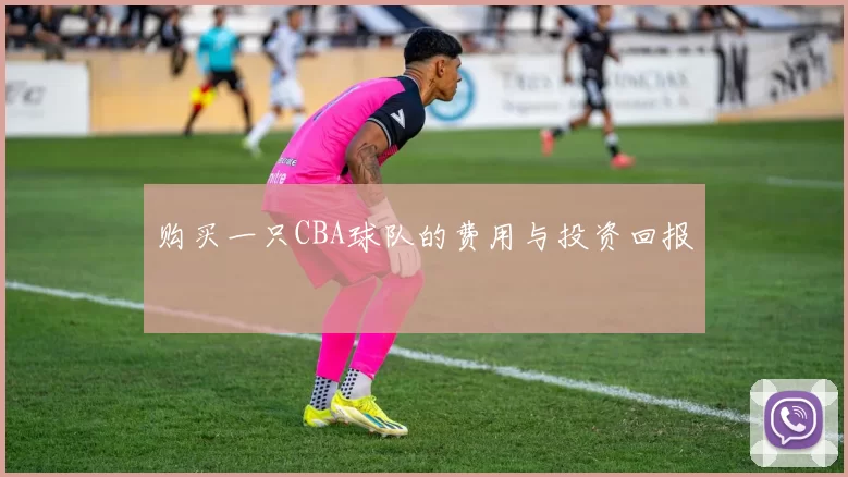 购买一只CBA球队的费用与投资回报
