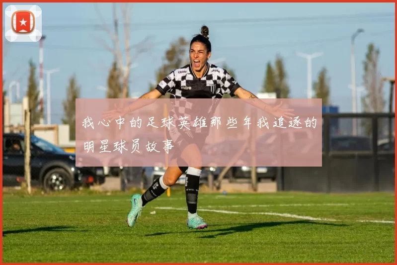 我心中的足球英雄那些年我追逐的明星球员故事