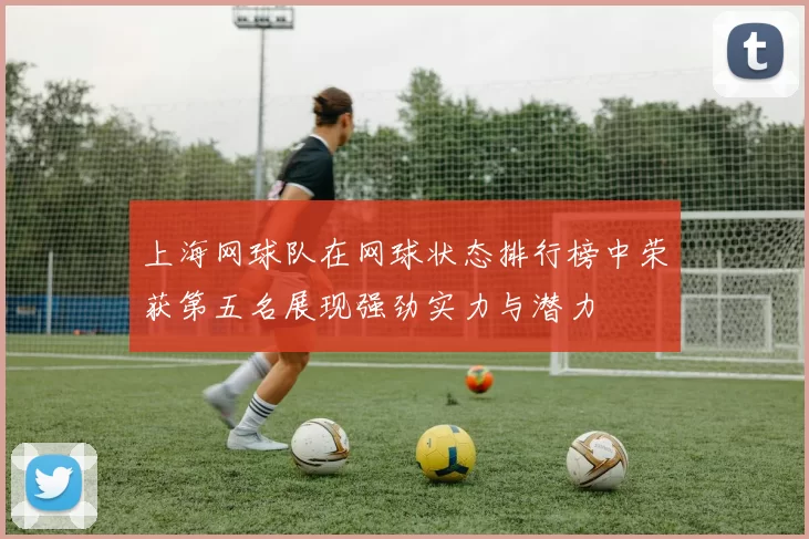 上海网球队在网球状态排行榜中荣获第五名展现强劲实力与潜力