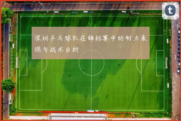 深圳乒乓球队在锦标赛中的耐力表现与战术分析