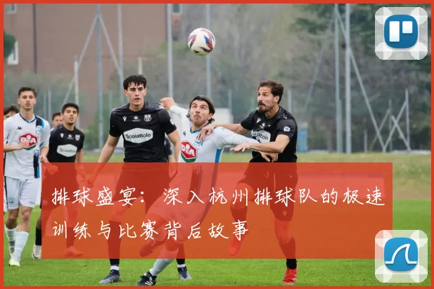 排球盛宴：深入杭州排球队的极速训练与比赛背后故事