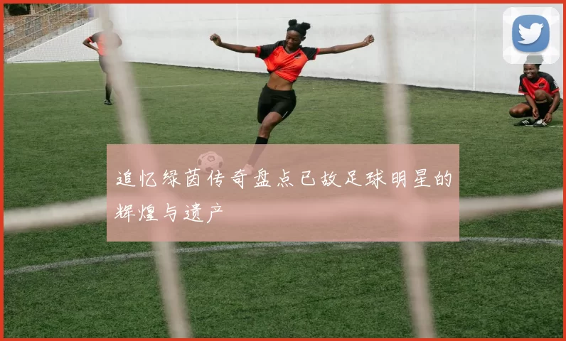追忆绿茵传奇盘点已故足球明星的辉煌与遗产