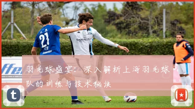 羽毛球盛宴：深入解析上海羽毛球队的训练与技术秘诀