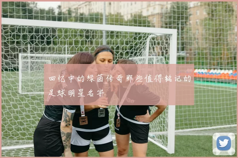 回忆中的绿茵传奇那些值得铭记的足球明星名字