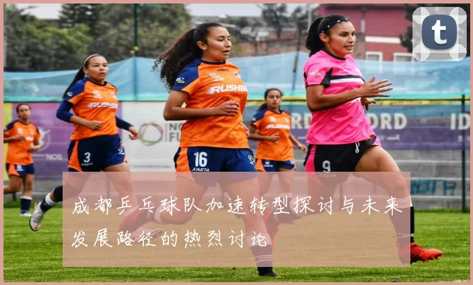 成都乒乓球队加速转型探讨与未来发展路径的热烈讨论