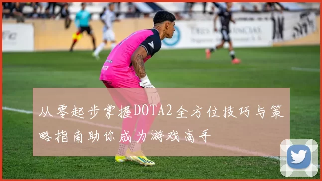 从零起步掌握DOTA2全方位技巧与策略指南助你成为游戏高手