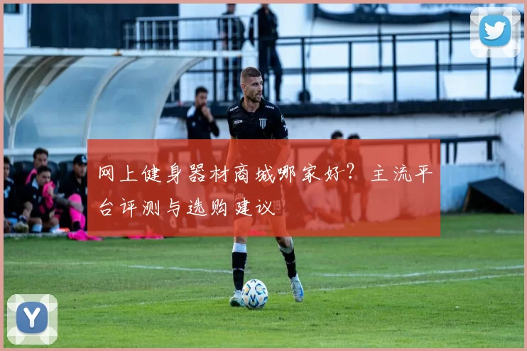 网上健身器材商城哪家好？主流平台评测与选购建议