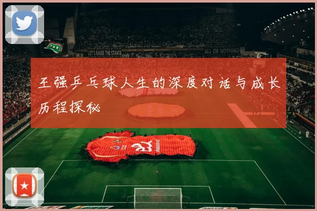 王强乒乓球人生的深度对话与成长历程探秘