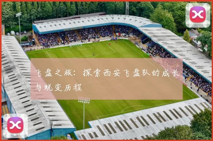 飞盘之旅：探索西安飞盘队的成长与蜕变历程