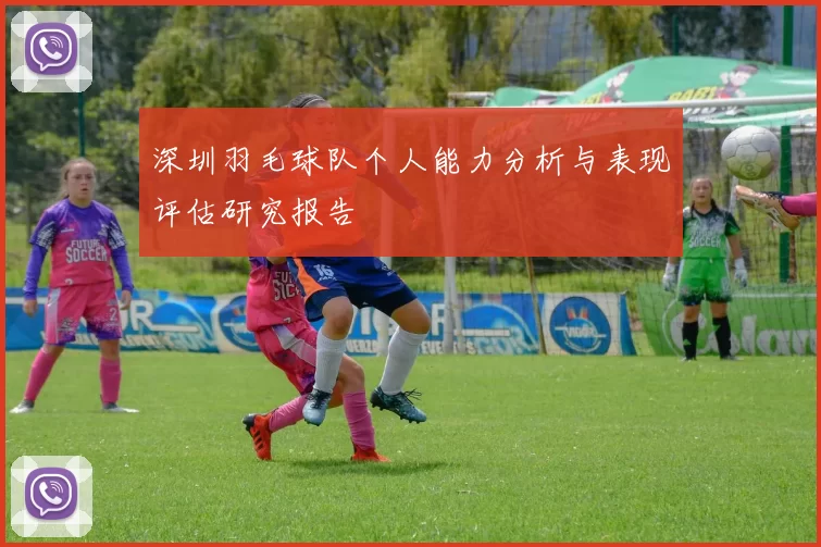 深圳羽毛球队个人能力分析与表现评估研究报告