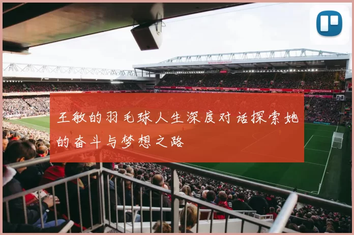 王敏的羽毛球人生深度对话探索她的奋斗与梦想之路