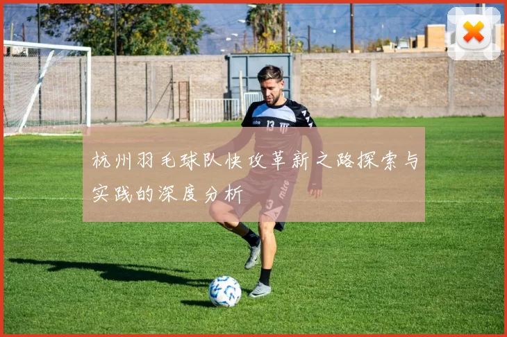 杭州羽毛球队快攻革新之路探索与实践的深度分析