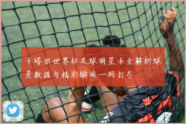 卡塔尔世界杯足球明星卡全解析球员数据与精彩瞬间一网打尽