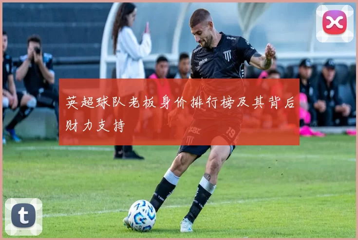 英超球队老板身价排行榜及其背后财力支持