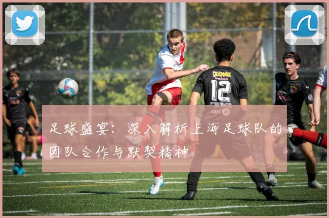 足球盛宴：深入解析上海足球队的团队合作与默契精神