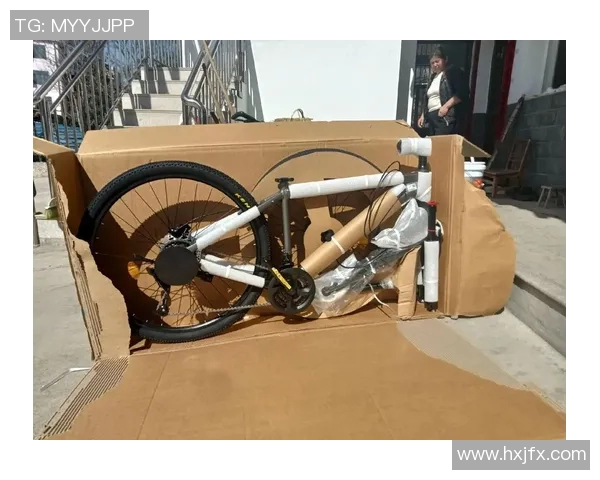 探索自行车的魅力：从环保出行到健康生活的全方位体验与发展趋势