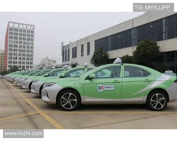 打造便捷高效的汽车租赁服务平台满足多样化出行需求